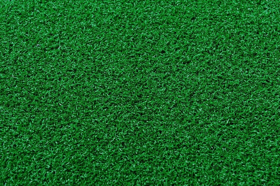 Synthetic Grass: A Number Of Money Saving Advantages