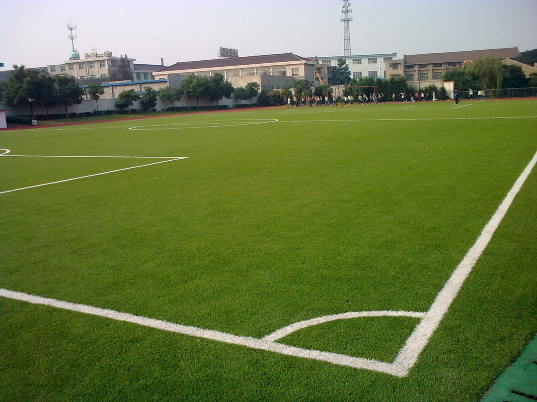 soccer lawn