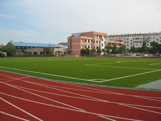 9000Dtex Artificial Grass for Football Field , UV-resistant 25mm Red Grass